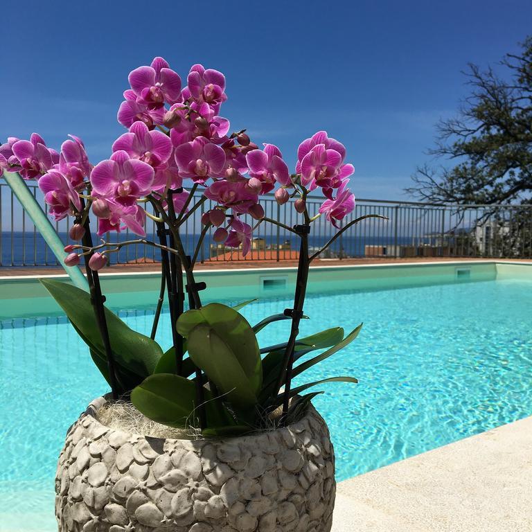 Hotel Mediterraneo Cavi di Lavagna Εξωτερικό φωτογραφία
